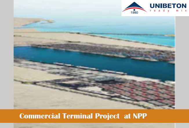 Commercial Terminal Project at NPP