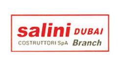 Salini